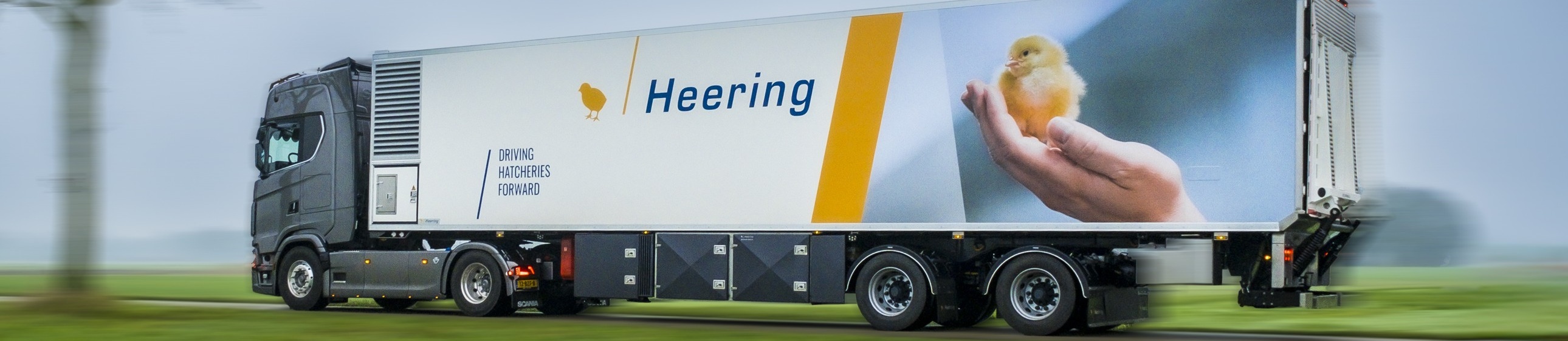 Heering-trailer met eendagskuiken op de belettering, onderweg op de snelweg